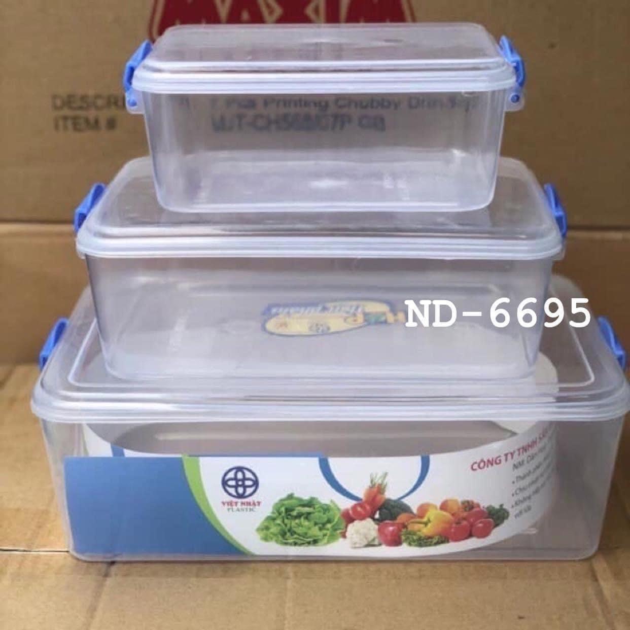 Combo Bộ 3 chiếc hộp lạnh đựng thực phẩm bằng nhựa Việt nhật95